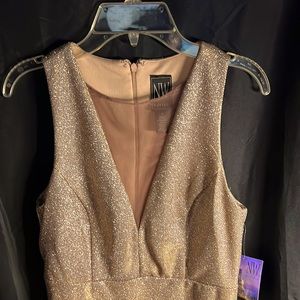 Night Way  Evening Dress NWT
